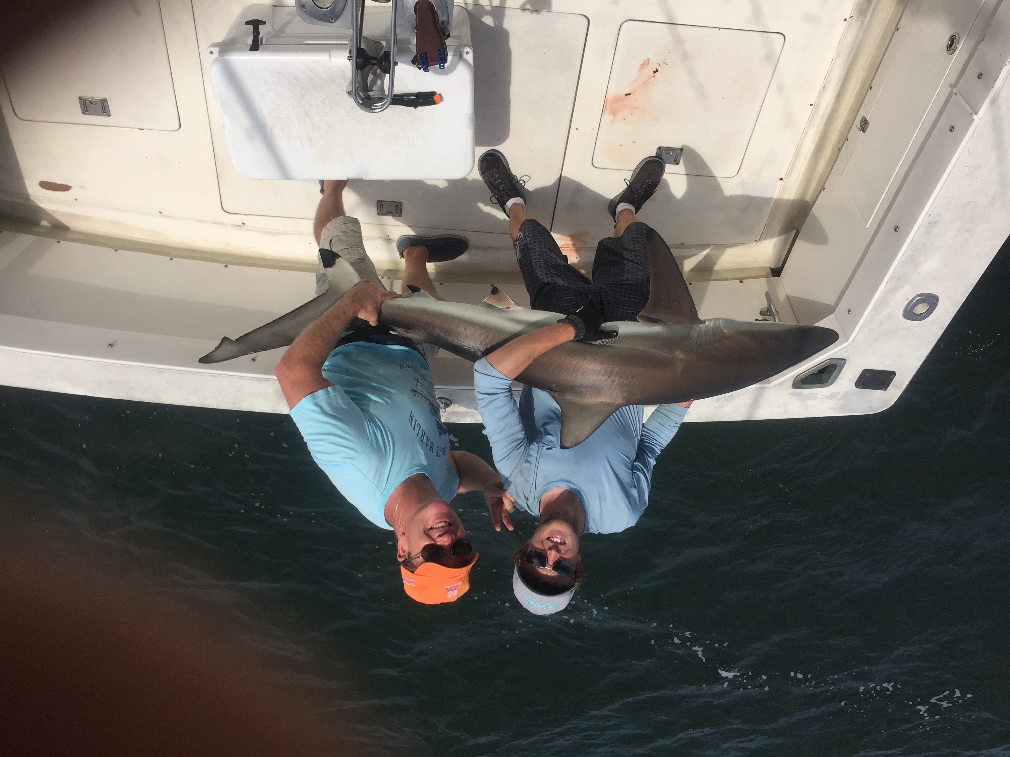 Two anglers holding a shark on the boat